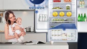容声冰箱和海尔哪个更耐用_冰箱最好的三个品牌